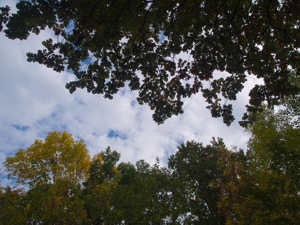 Ukr-Nature-030.jpg