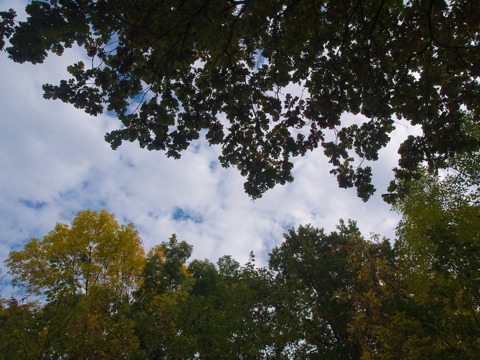 Ukr-Nature-030.jpg
