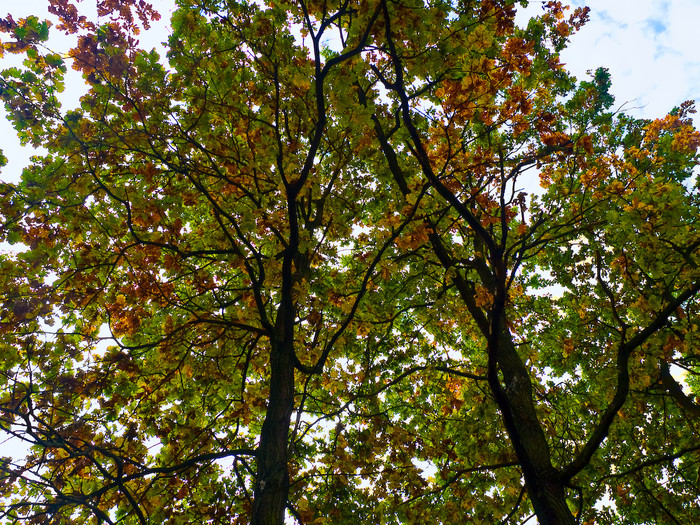 Ukr-Nature-031.jpg