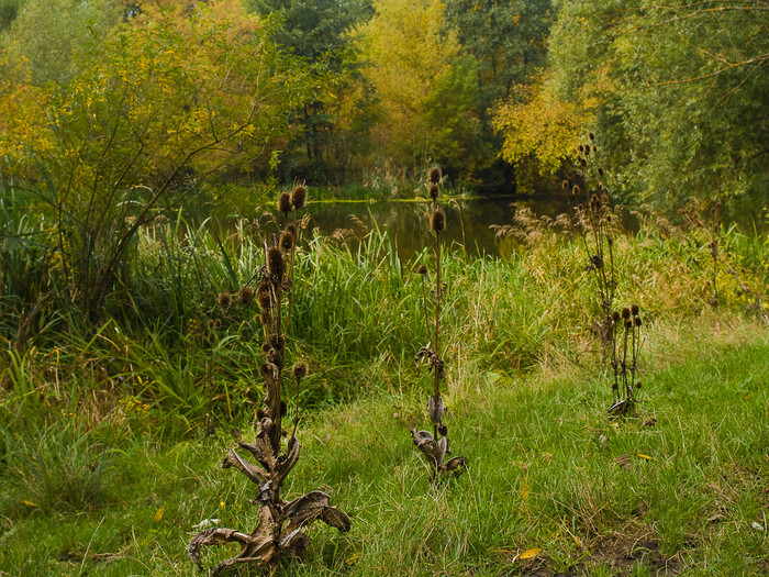Ukr-Nature-033.jpg