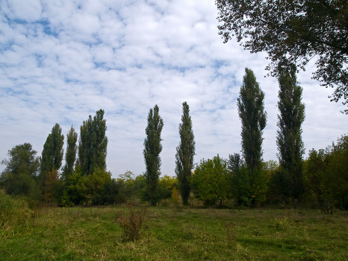 Ukr-Nature-034.jpg