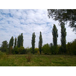 Ukr-Nature-034.jpg