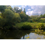 Ukr-Nature-036.jpg