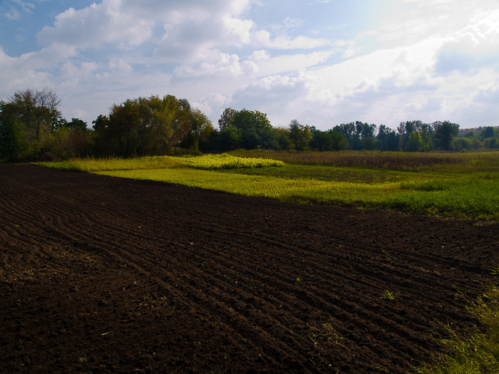 Ukr-Nature-037.jpg