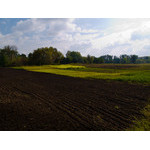 Ukr-Nature-037.jpg