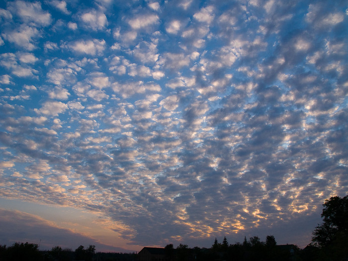 Ukr-Nature-038.jpg