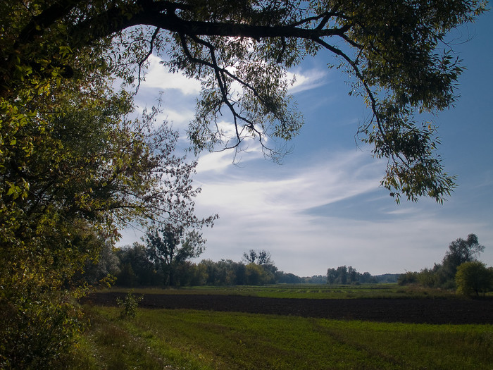 Ukr-Nature-039.jpg