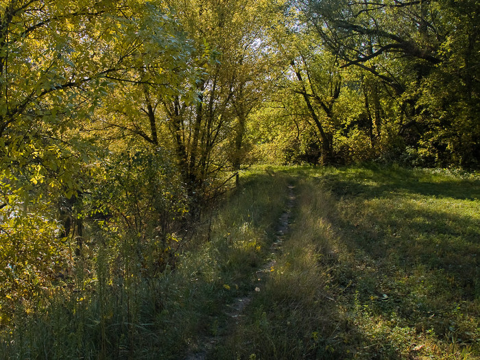 Ukr-Nature-040.jpg