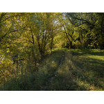 Ukr-Nature-040.jpg
