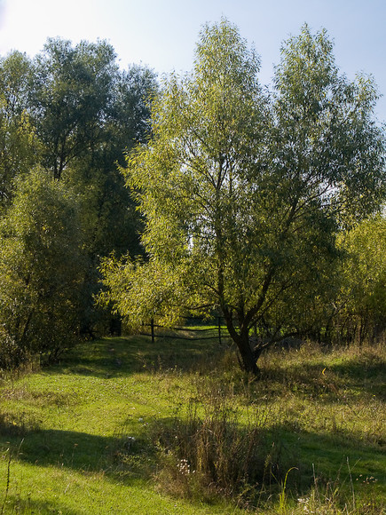 Ukr-Nature-041.jpg