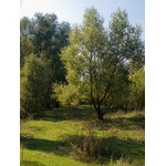 Ukr-Nature-041.jpg