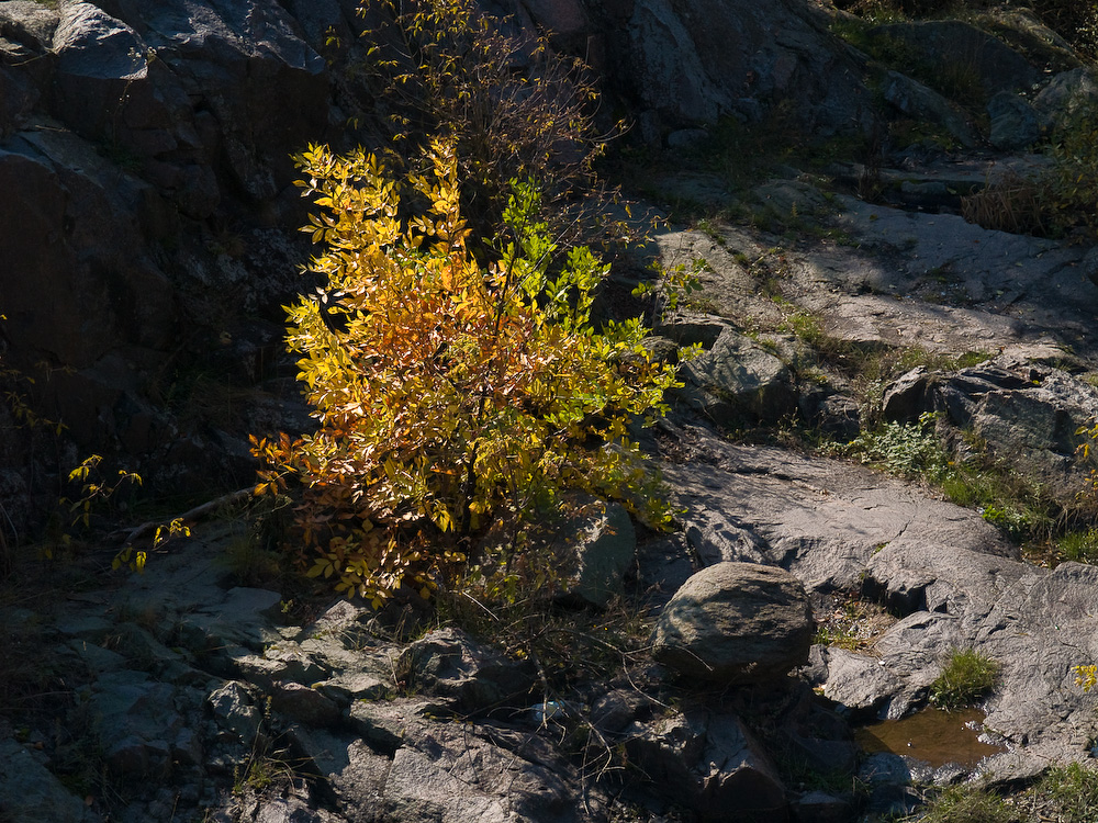 Ukr-Nature-043.jpg