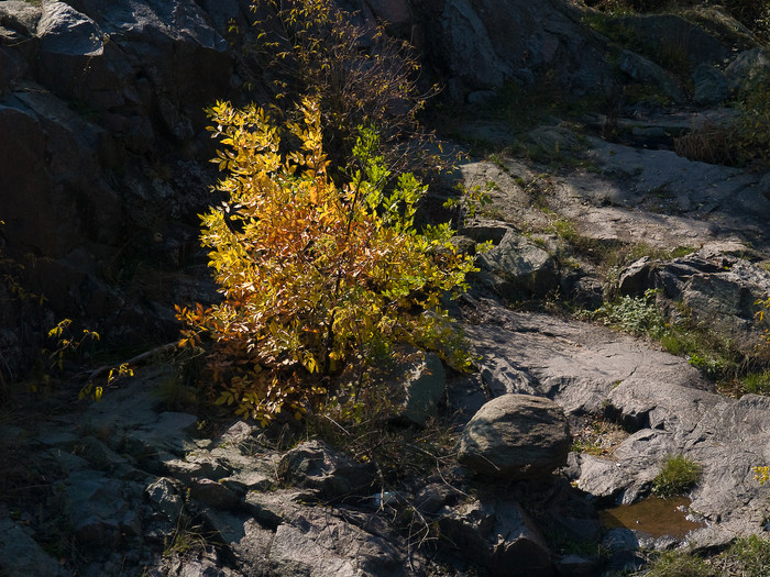Ukr-Nature-043.jpg