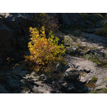 Ukr-Nature-043.jpg