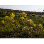 Ukr-Nature-044.jpg