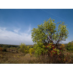 Ukr-Nature-045.jpg