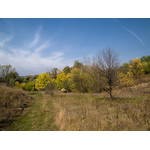 Ukr-Nature-046.jpg