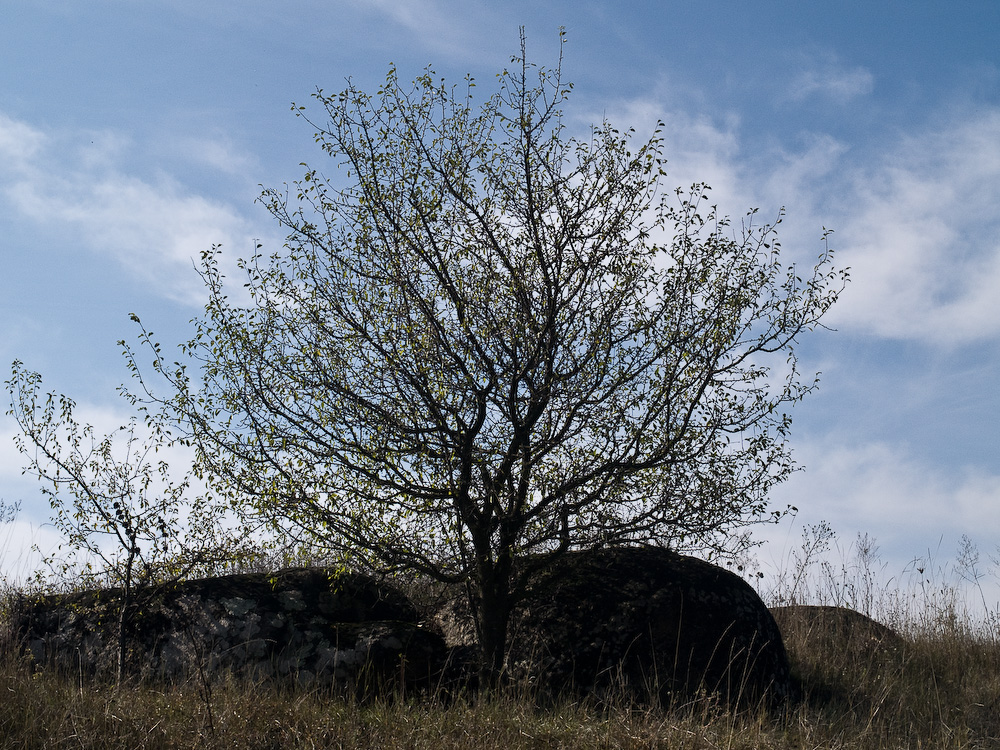 Ukr-Nature-047.jpg