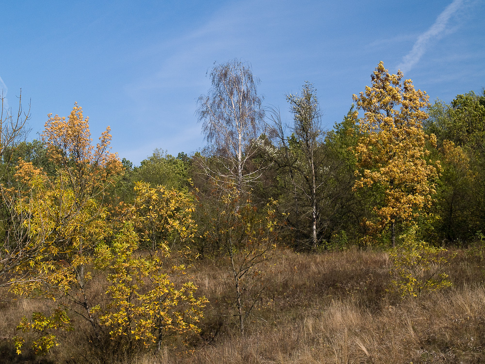 Ukr-Nature-048.jpg