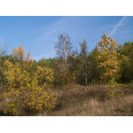 Ukr-Nature-048.jpg