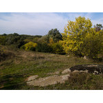 Ukr-Nature-049.jpg