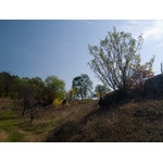 Ukr-Nature-050.jpg