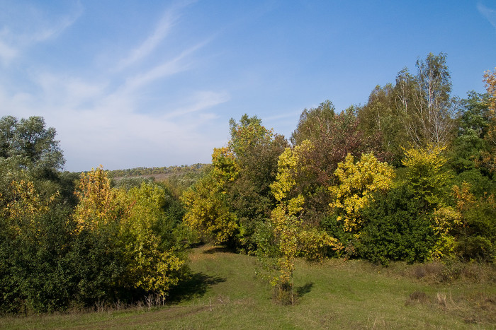 Ukr-Nature-051.jpg