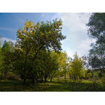 Ukr-Nature-052.jpg