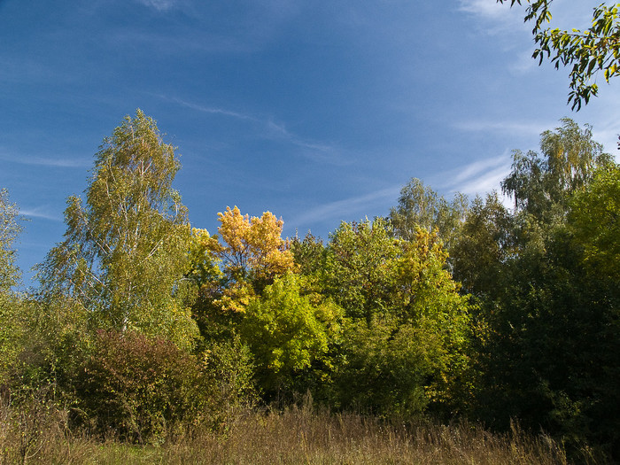 Ukr-Nature-053.jpg