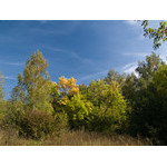 Ukr-Nature-053.jpg