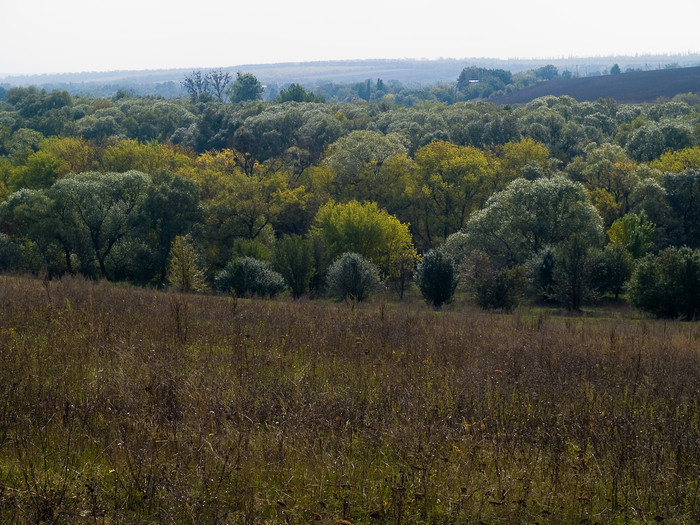 Ukr-Nature-054.jpg