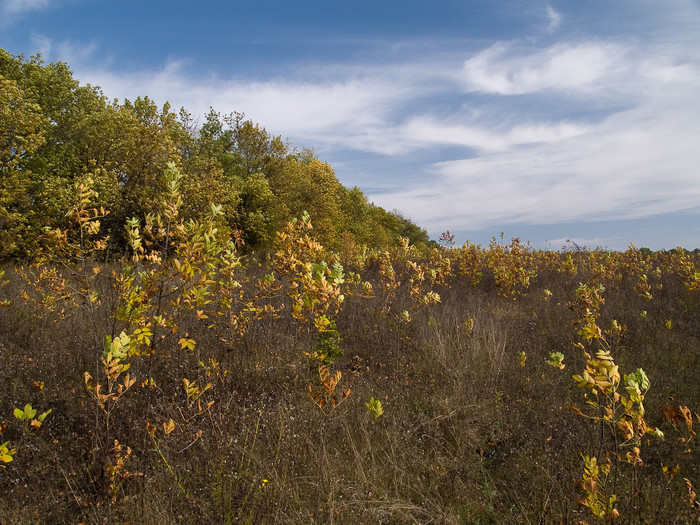 Ukr-Nature-055.jpg
