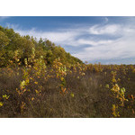 Ukr-Nature-055.jpg