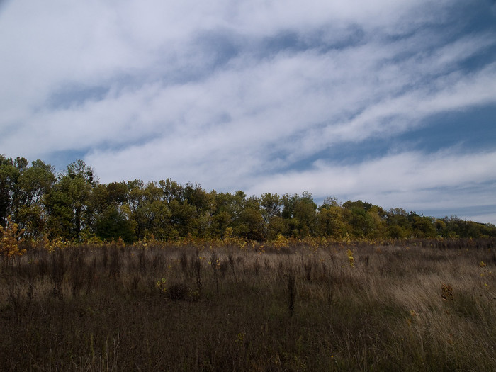 Ukr-Nature-056.jpg
