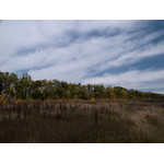 Ukr-Nature-056.jpg