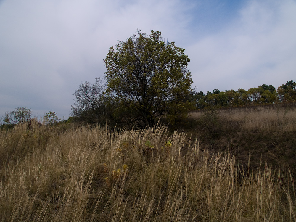 Ukr-Nature-057.jpg
