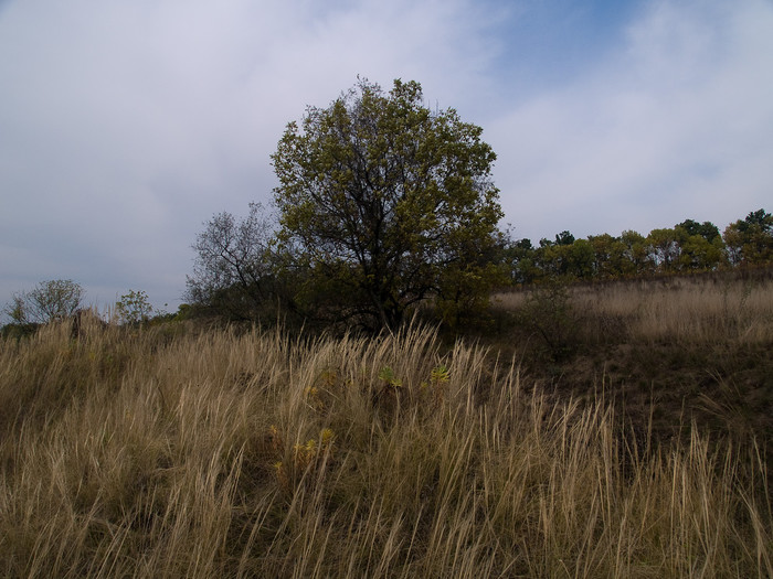Ukr-Nature-057.jpg