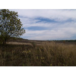 Ukr-Nature-058.jpg