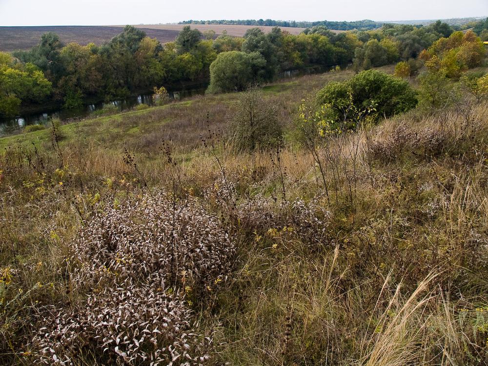 Ukr-Nature-059.jpg