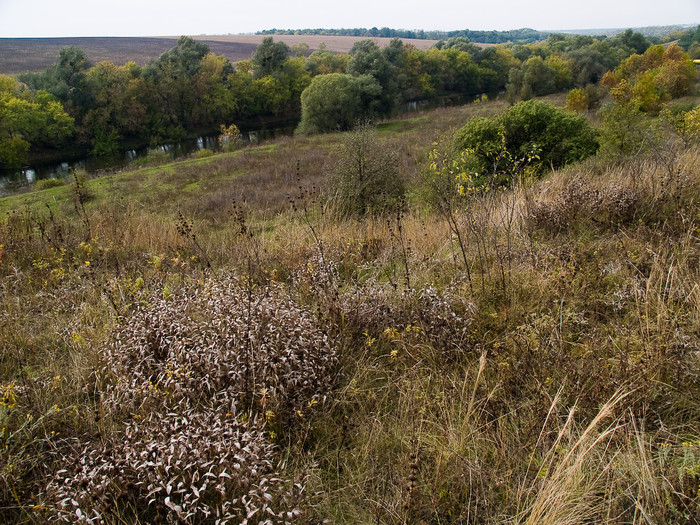 Ukr-Nature-059.jpg