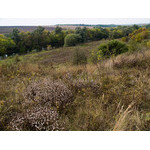 Ukr-Nature-059.jpg