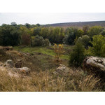 Ukr-Nature-060.jpg