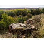 Ukr-Nature-061.jpg
