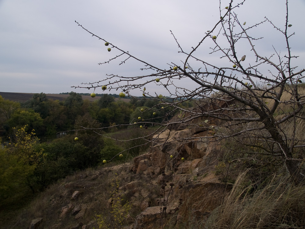 Ukr-Nature-062.jpg