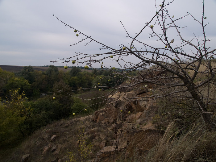 Ukr-Nature-062.jpg