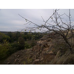 Ukr-Nature-062.jpg