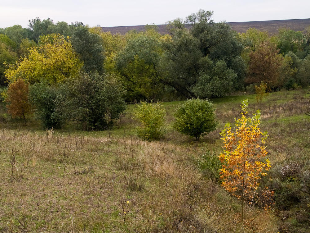 Ukr-Nature-064.jpg