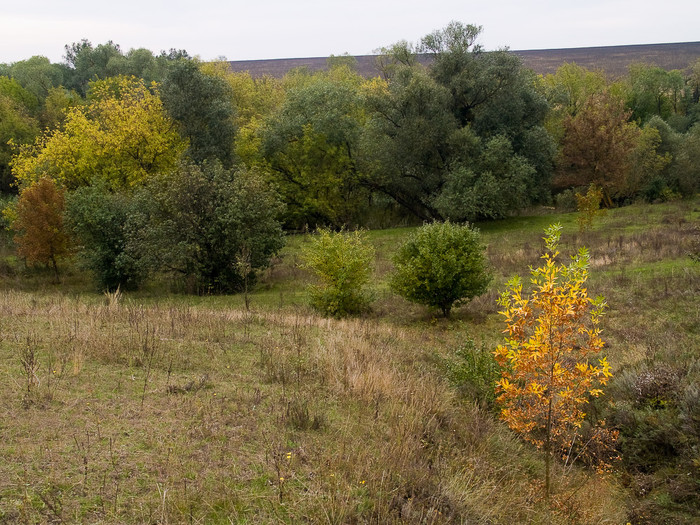 Ukr-Nature-064.jpg
