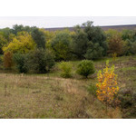 Ukr-Nature-064.jpg