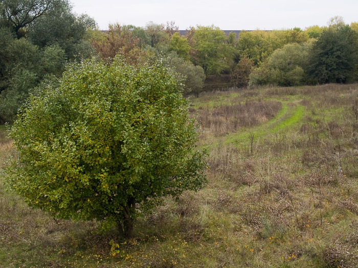 Ukr-Nature-065.jpg